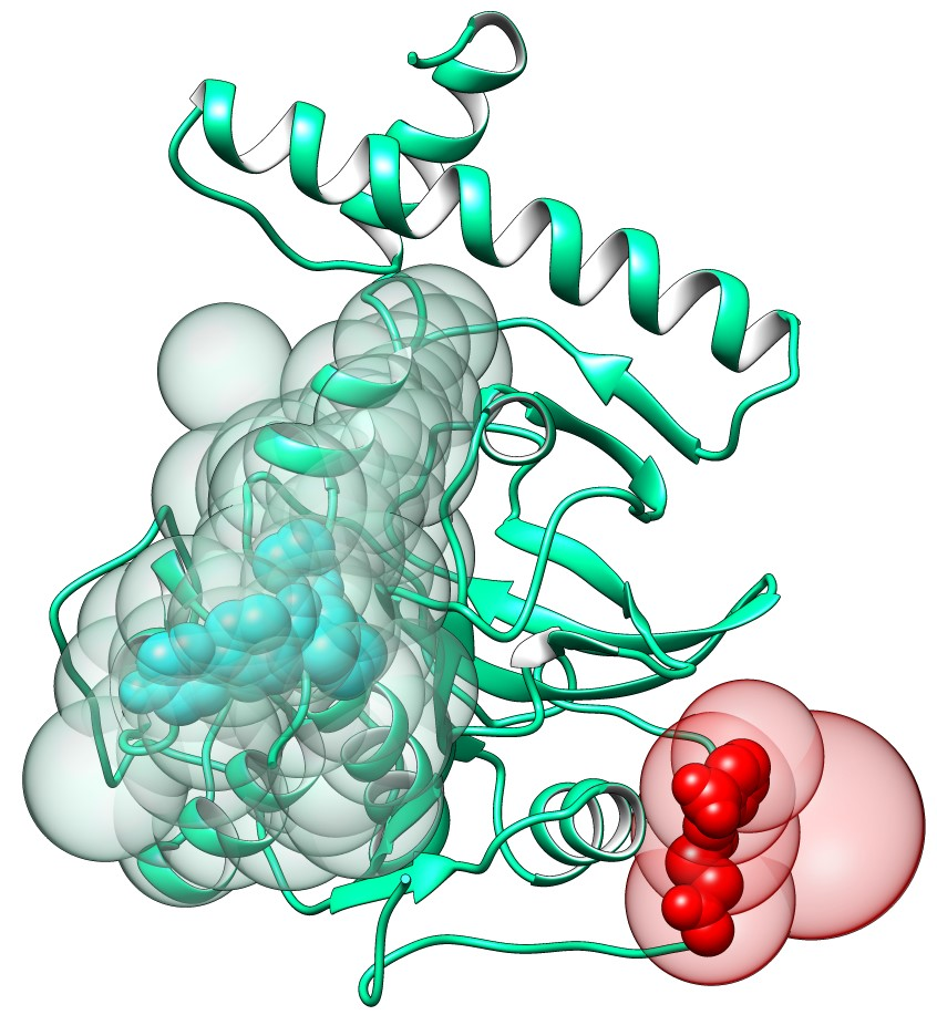 Allosteric binding sites