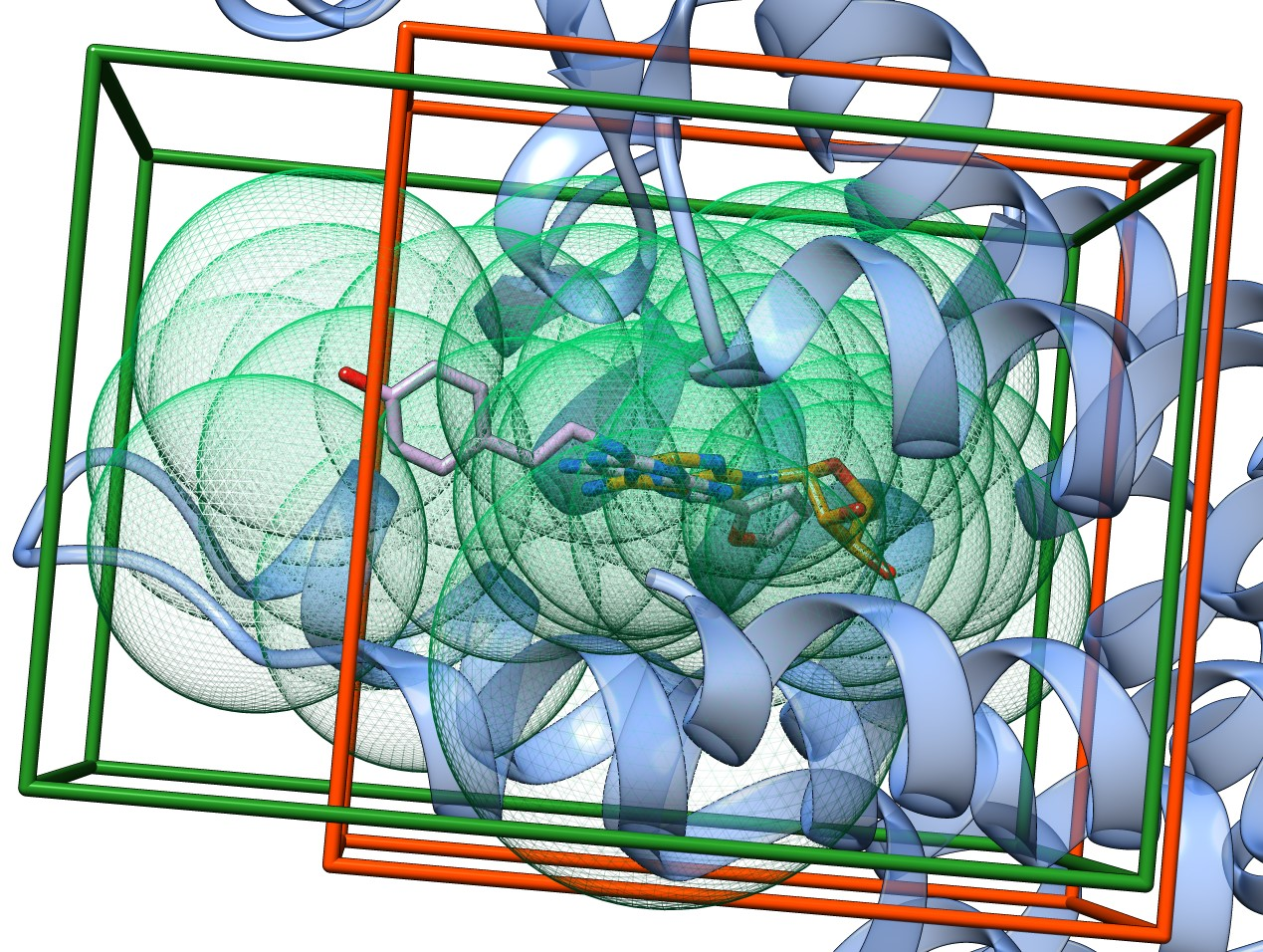 Size of binding sites